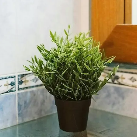 Casa Begona By Cardi *