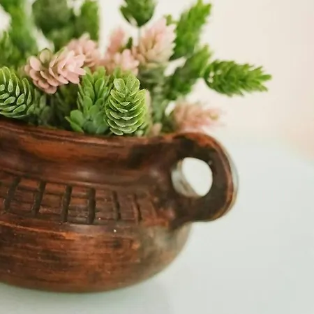 Appartement Casa Begona By Cardi