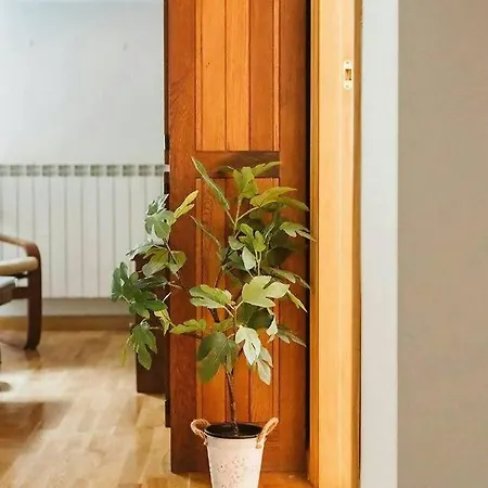 Casa Begona Wifi Sencillo Y Acogedor Apartment Sallent De Gallego