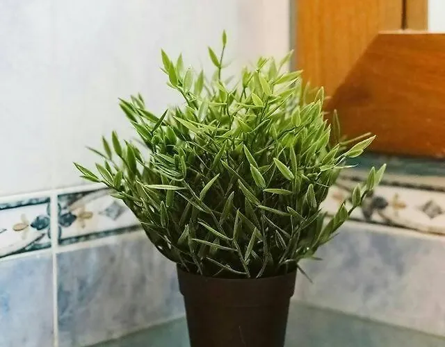 Casa Begona By Cardi *