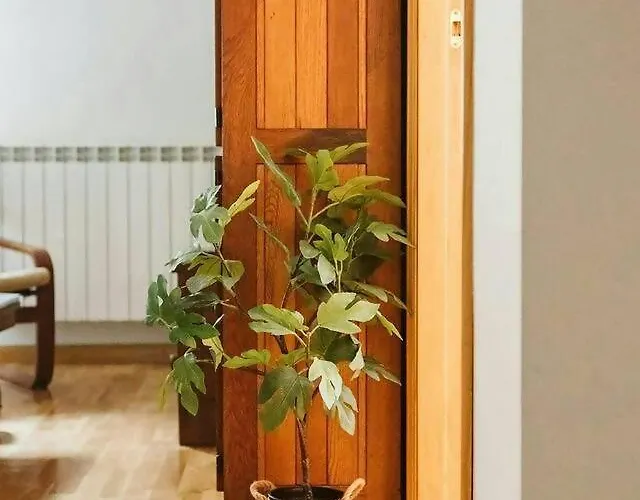 Casa Begona By Cardi Appartement Sallent de Gállego